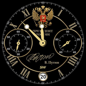 В.В. Путин